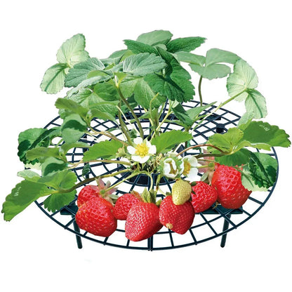 Garden Strawberry Stand Plant Support Fruits Growing Racks with 4 Sturdy Legs Growing Frame Fruit Stand