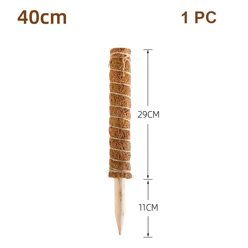 Cross-border Gardening Cocoanut Stick Green Pot Fixed Plant Climbing Cane Flower Support Cocoanut Climbing Cane Moss Rod 1pc