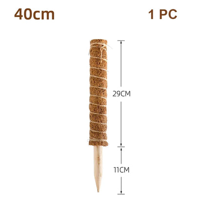 Cross-border Gardening Cocoanut Stick Green Pot Fixed Plant Climbing Cane Flower Support Cocoanut Climbing Cane Moss Rod 1pc