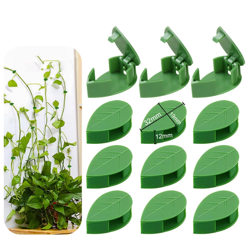20pcs Plant Climbing Wall Fixture Rattan plants growth climb traceless vine fixing tool Self-Adhesive Green Clip Traction Holder