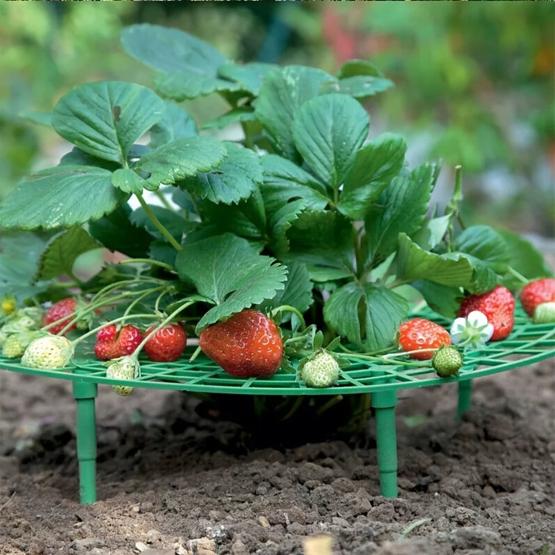 5/10pcs Green Strawberry Planting Rack with 3 Sturdy Stands Versatile Plant for Berries and Small Plants Plant Stand