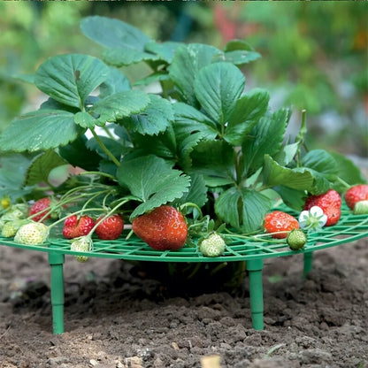 5/10pcs Green Strawberry Planting Rack with 3 Sturdy Stands Versatile Plant for Berries and Small Plants Plant Stand