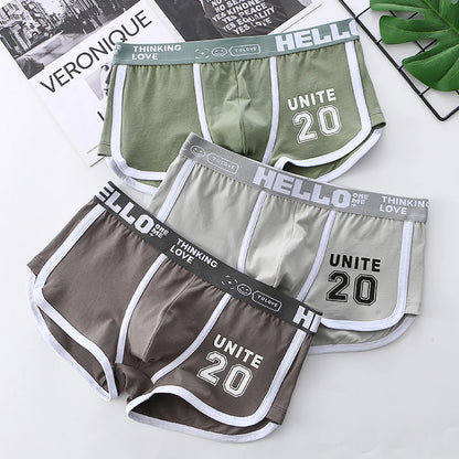3PCS/Pack 100% Cotton Underpants Men Comfortable Big U Type Crotch Breathable Mesh Men's Panties Fashion Letter Boxers Hombre