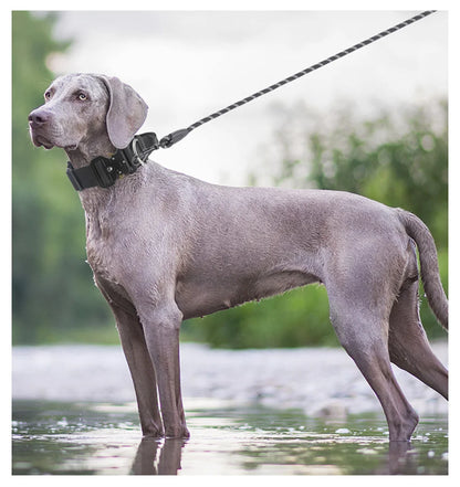 Tactical Dog Collar for Medium to Large Dogs 8 Colors Pet Collar Durable Comfortable Harness for Training And Control