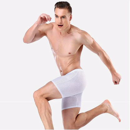 2025 Boxers Briefs Man Ice Silk Shorts Underpants Male Large Size Men's Mesh Panties Breathable Long Boxer For Mens Underwear