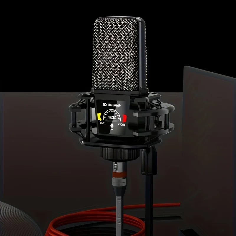 Tenlamp PKPRO Large Diaphragm Condenser Mic, 26mm Gold-Plated Head, Phantom Power, USB/XLR Dual-Circuit,  Gaming Streaming Podcast Mic with Stand, Noise Cancellation for PC PS5 Karaoke Video Conferencing