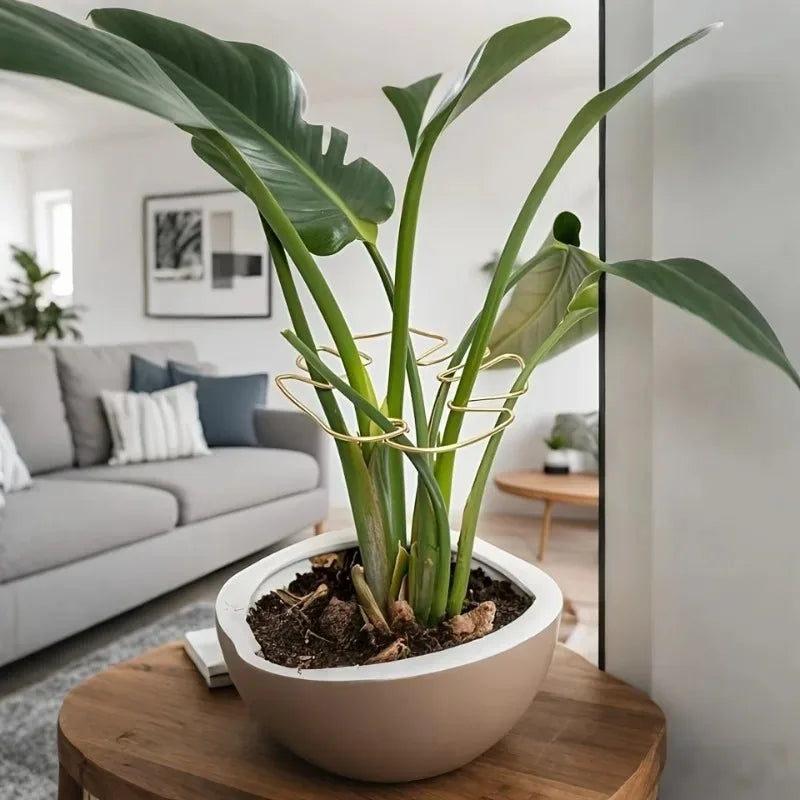 1Pc Large Monstera Plant Support Frame Sturdy Climbing Stems Leaf Stabilizer Outdoor Use for Tall Houseplant Hanging Plant Stand