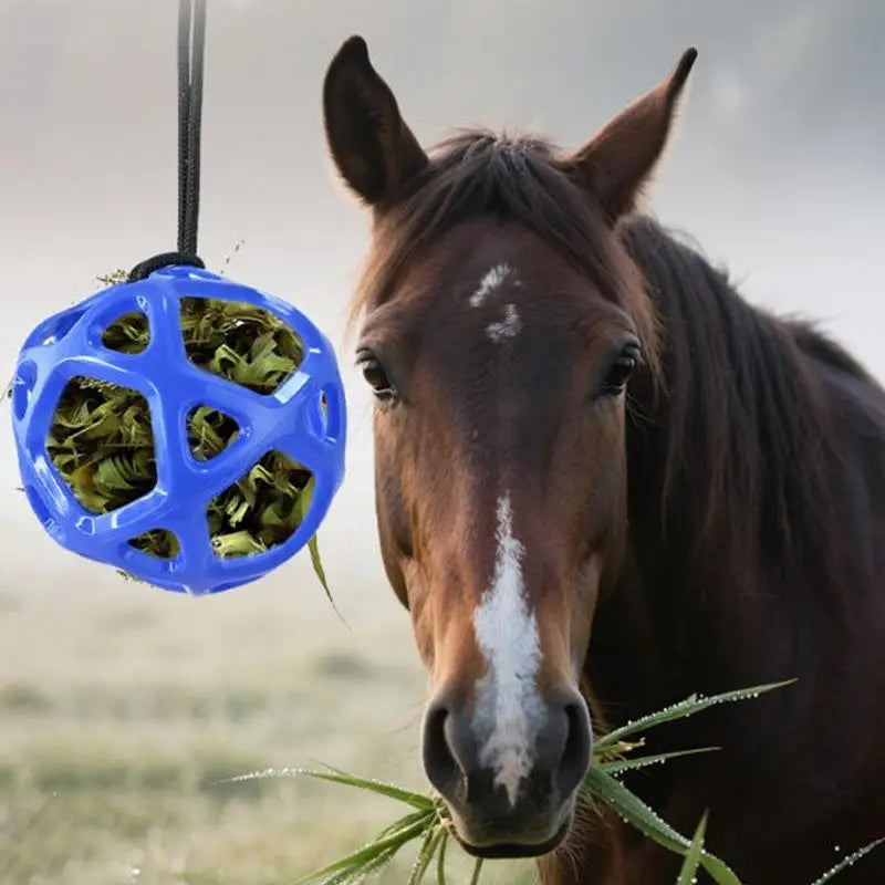 Hanging Hay Feeder Chew Resistant Horse Goat Sheep Toy Ball Stress Relief Outdoor Feeding
