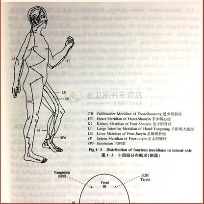 Bilingual Chinese Acupuncture and Moxibustion in Chinese and English Medicine Book