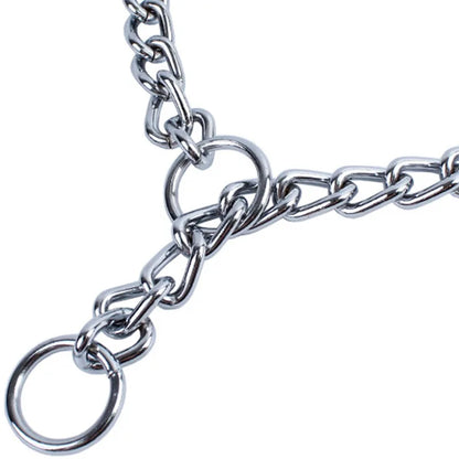 Dog Gold Silver Chain Link Dog Collar Dog Choke Necklace Collar Metal P Slip Chain Training Walking Choker Stylish PET Accessory