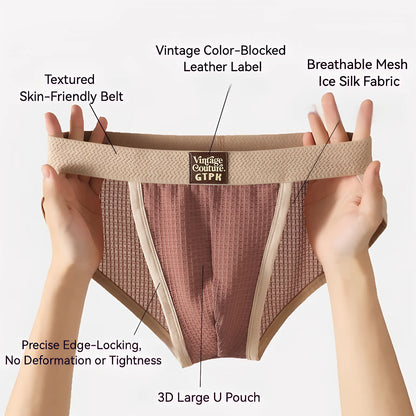 3 pcs Vintage Men High Cut Nylon Briefs Ice Silk Mesh Cool Underpants Soft Breathable Quick Dry Mens Underwear