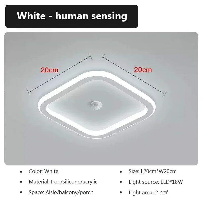 Energy Saving Smart Ceiling Light Human Body Sensor Auto on Off 85-265V for Corridor Hallway Entrance Balcony Lighting Fixture