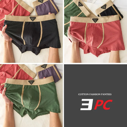 3PC 100% Cotton Men's Underwear Autumn Winter New 10A Antibacterial BoxerShorts Loose Comfortable Men's Quadrangle Underpants