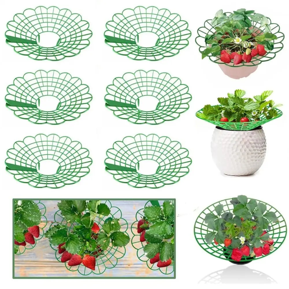 1/3Pcs Round Strawberry Stand Anti-corrosion Anti-ground Strawberry Cradle Support with Three Sturdy Legs Trellis Planter Insert