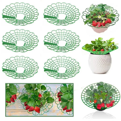 1/3Pcs Round Strawberry Stand Anti-corrosion Anti-ground Strawberry Cradle Support with Three Sturdy Legs Trellis Planter Insert