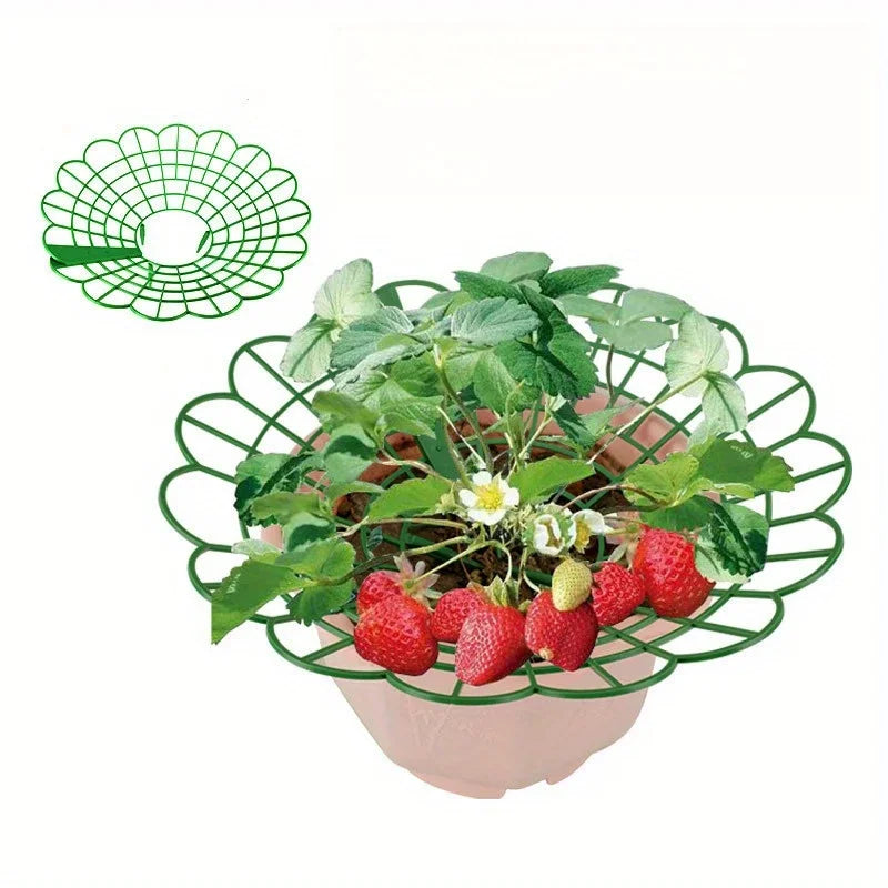 5/10/20pcs Strawberry Plant Supports with Three Sturdy Legs Provide Protection for Strawberries Against Mold, Rot, and Dirt