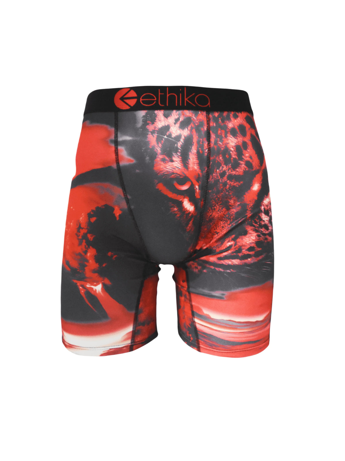 ETHIKA 1Pcs Men Underwear Boxers Breathable Mesh Crotch Man Underpants Plus Size L-3XL Mens Panties Printed Men's Boxers Briefs
