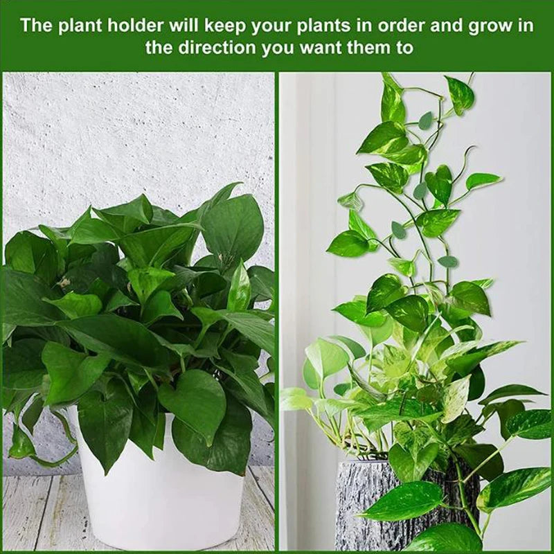 20pcs Plant Climbing Wall Fixture Rattan plants growth climb traceless vine fixing tool Self-Adhesive Green Clip Traction Holder