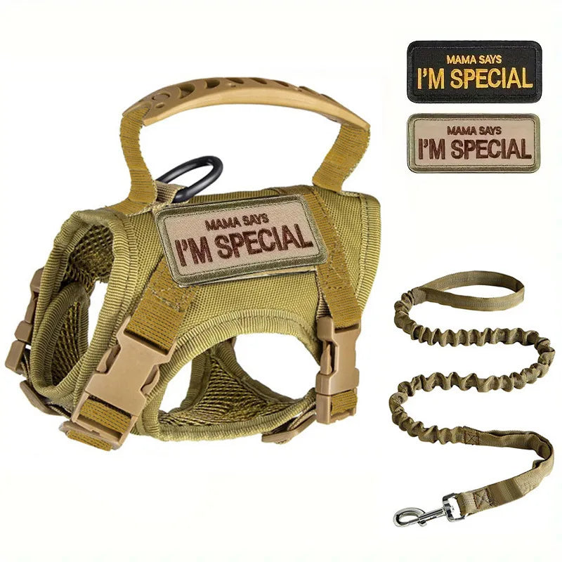 Tactical Military Vest Pet Tactical Training Cat Accessories Cat Dog Harness and Leash Set  Kitten Accessories