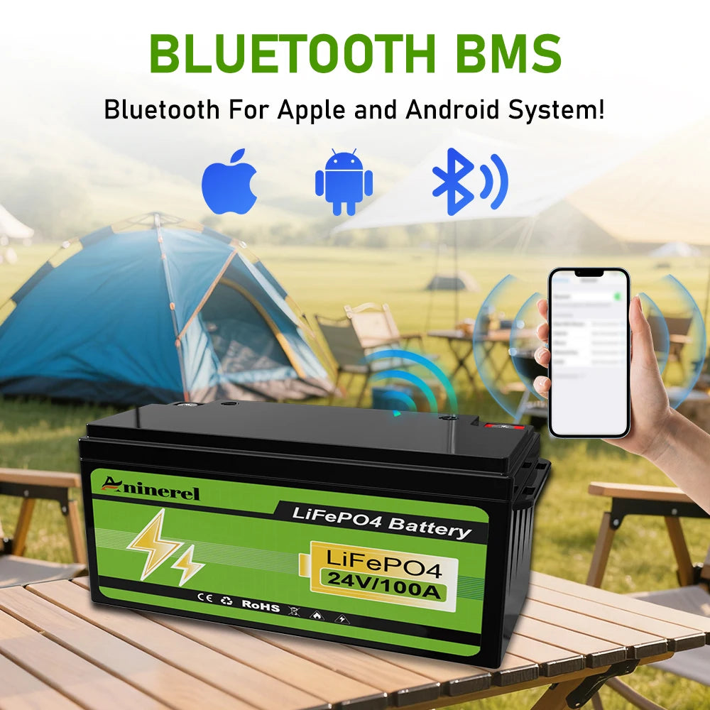 Aninerel 3840Wh 12V 300AH 24V 100Ah 2560Wh Lithium LiFePO4 Battery with 100A BMS Perfect for RV Golf Cart Solar Power System Trolling Motor