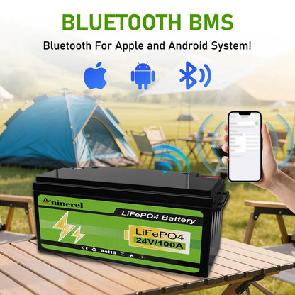 Aninerel 3840Wh 12V 300AH 24V 100Ah 2560Wh Lithium LiFePO4 Battery with 100A BMS Perfect for RV Golf Cart Solar Power System Trolling Motor