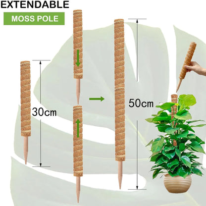 Cross-border Gardening Cocoanut Stick Green Pot Fixed Plant Climbing Cane Flower Support Cocoanut Climbing Cane Moss Rod 1pc