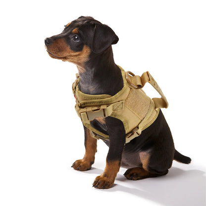 Tactical Small Dog Harness For Puppy Cats Adjustable Kitten Vest Harnesses For Military Dogs Working Training Walking Free Size