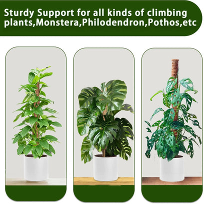 4 /8 Pack Stackable Moss Pole for Plants Monstera Tall Rod for Indoor Outdoor Climbing Plant Support Stakes for Potted Plants