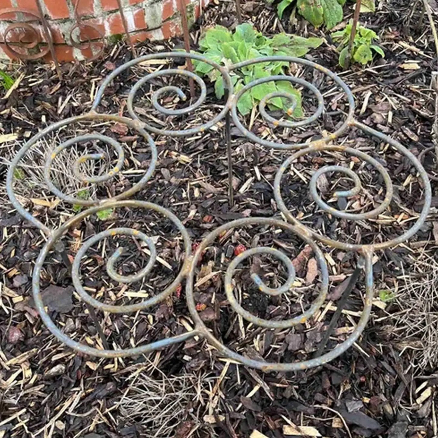 Peony Cage Heavy Duty Metal Weather-Resistant Grow Through Plant Support for Tall Heavy Flowers Peonies Roses Hydrangeas