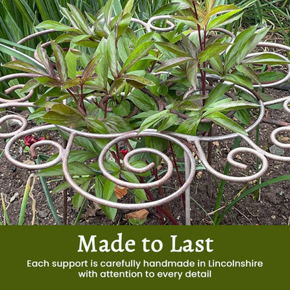 Peony Cage Heavy Duty Metal Weather-Resistant Grow Through Plant Support for Tall Heavy Flowers Peonies Roses Hydrangeas
