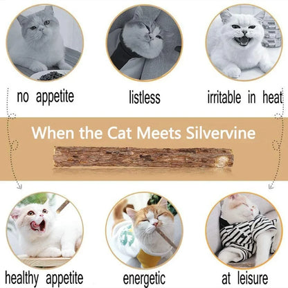 15pcs Natural Matatabi Cat Catnip Toy Kitten Molar Chew Stick Pet Cleaning Teeth Cat Treat Toy Actinidia Silvervine Pet Products