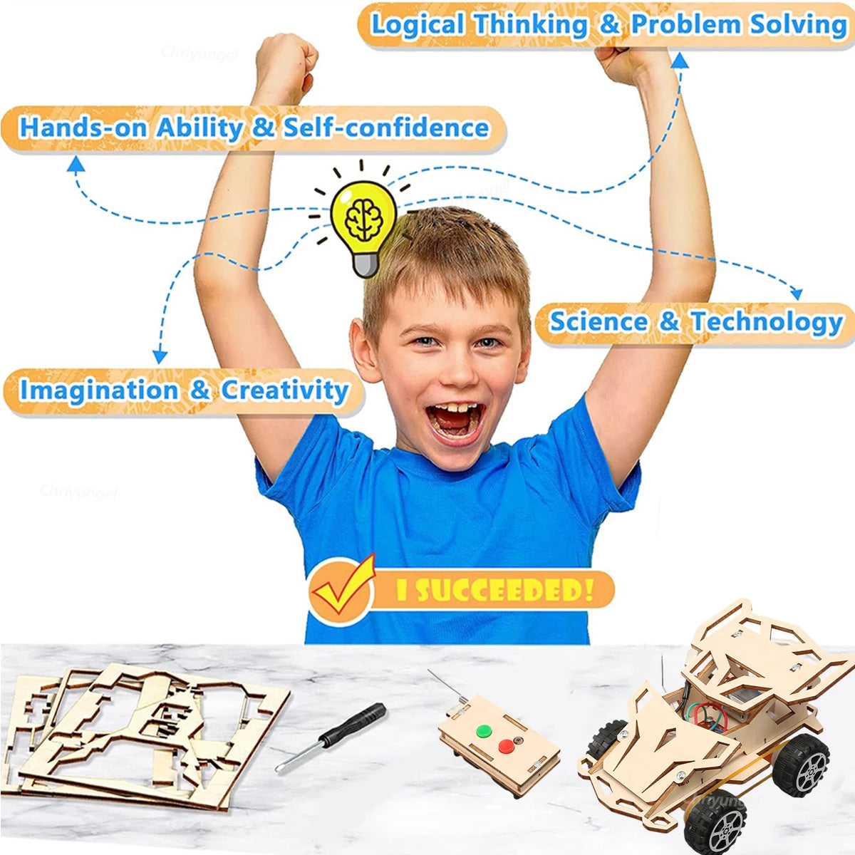 DIY Wooden Remote Control Car Kit STEM Building Toy Educational Science Project Wireless Racing Car for Kids Teens Gifts