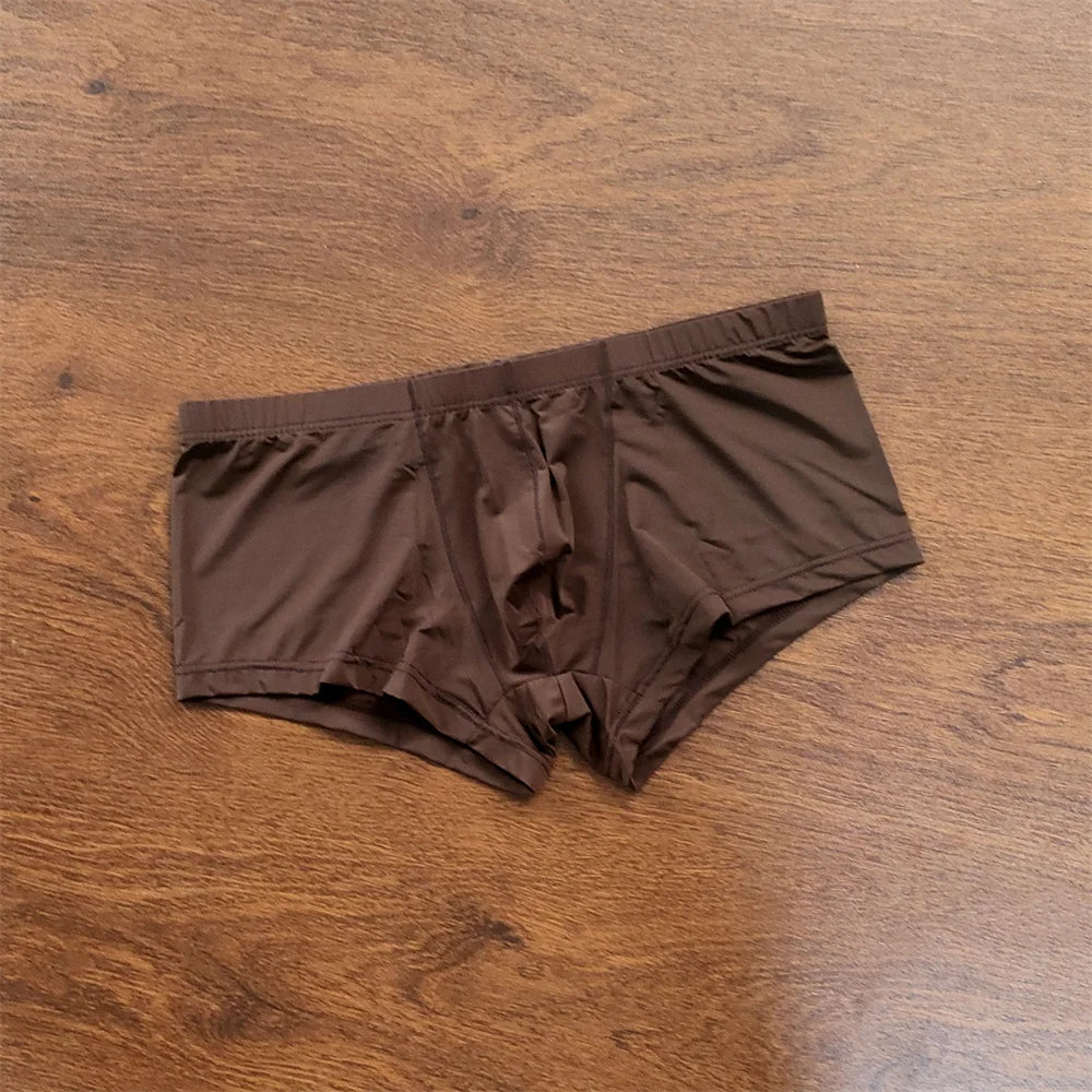 Man Underwear Men's Ice Silk Boxer Shorts Cool Underpants Summer Sexy Thin Panties U Pouch Lingerie Wholesale Price M-XXL