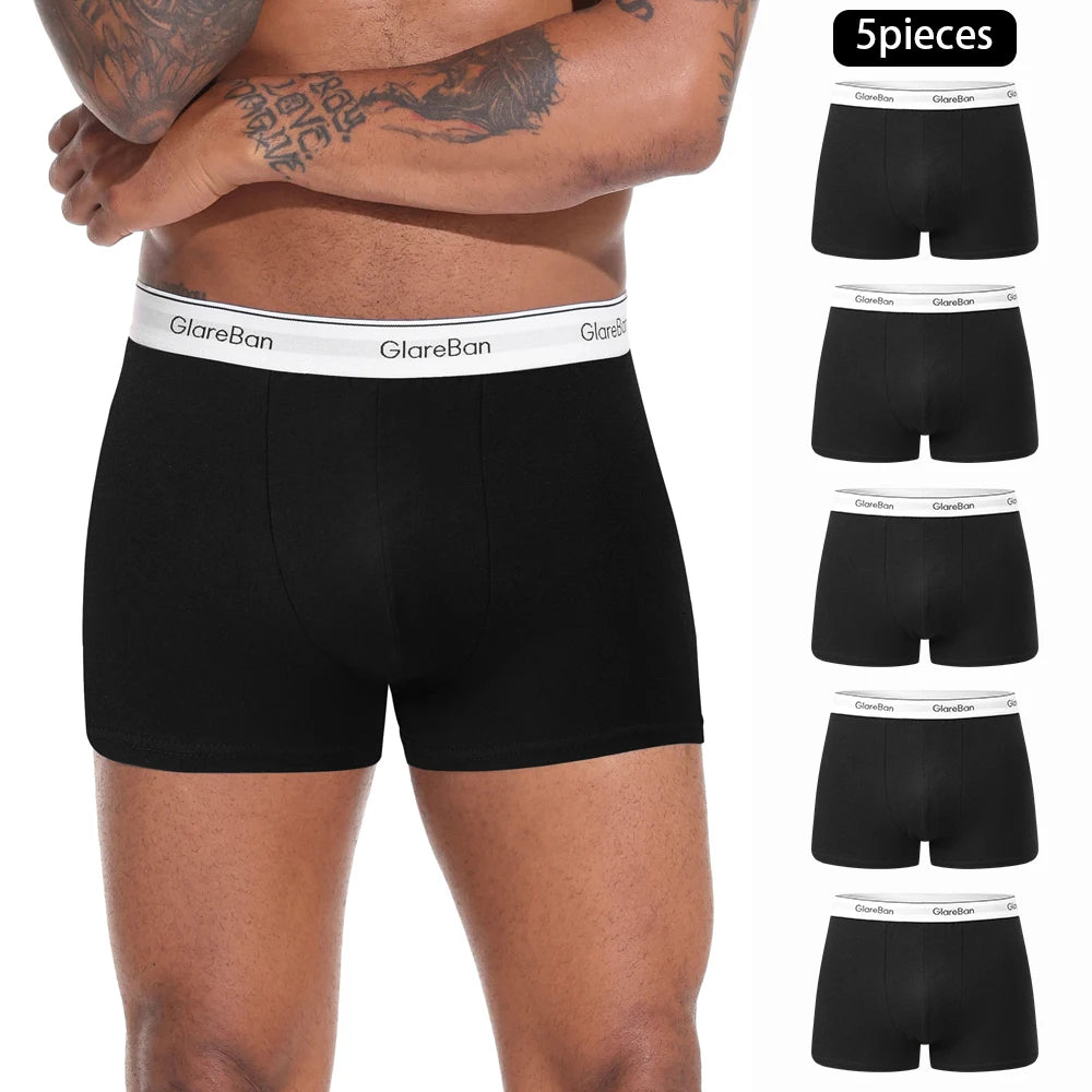 5pcs Pack Cotton Boxer Briefs Men shorts Panties Underwear For Man Brand And Underpants Homme Luxury BoxerShorts Box Slip Box