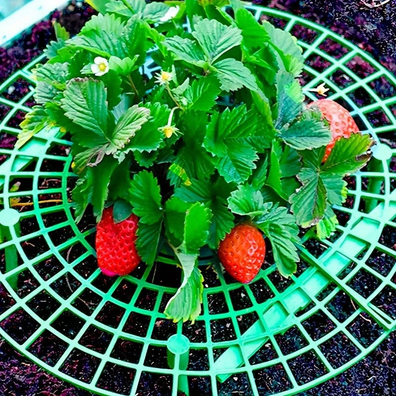 6/12pcs Green PVC Strawberry Support Cage for Vegetable Garden - 3-Legged Plant Protector, and Rot, Easy Assembly