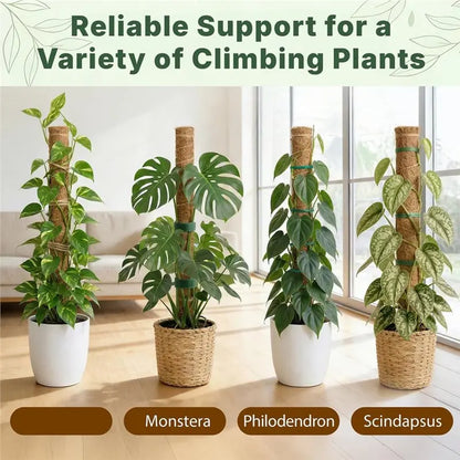 MOPHE-4-Piece Plant Stand Set - Plant Stumps For Indoor Climbing Plants - Coconut Shell Stumps And Rooftop, And Filodendrace