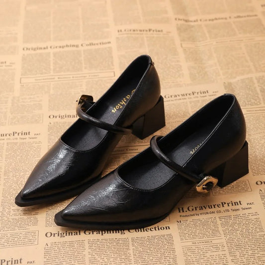 New Designer Vintage Pointed Toe Women Mary Jane Shoes Fashion Shallow Buckle Shoes Ladies Elegant Dress Thick Heel Shoes