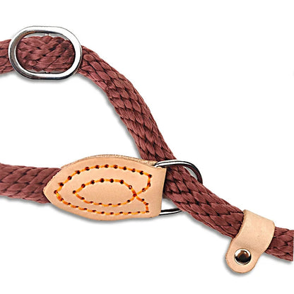 Dog Leash P Chain Slip Collar pet Walking Lead Outdoor puppy pet Traction Hemp rope For small Medium Large big Dogs long 1.5m