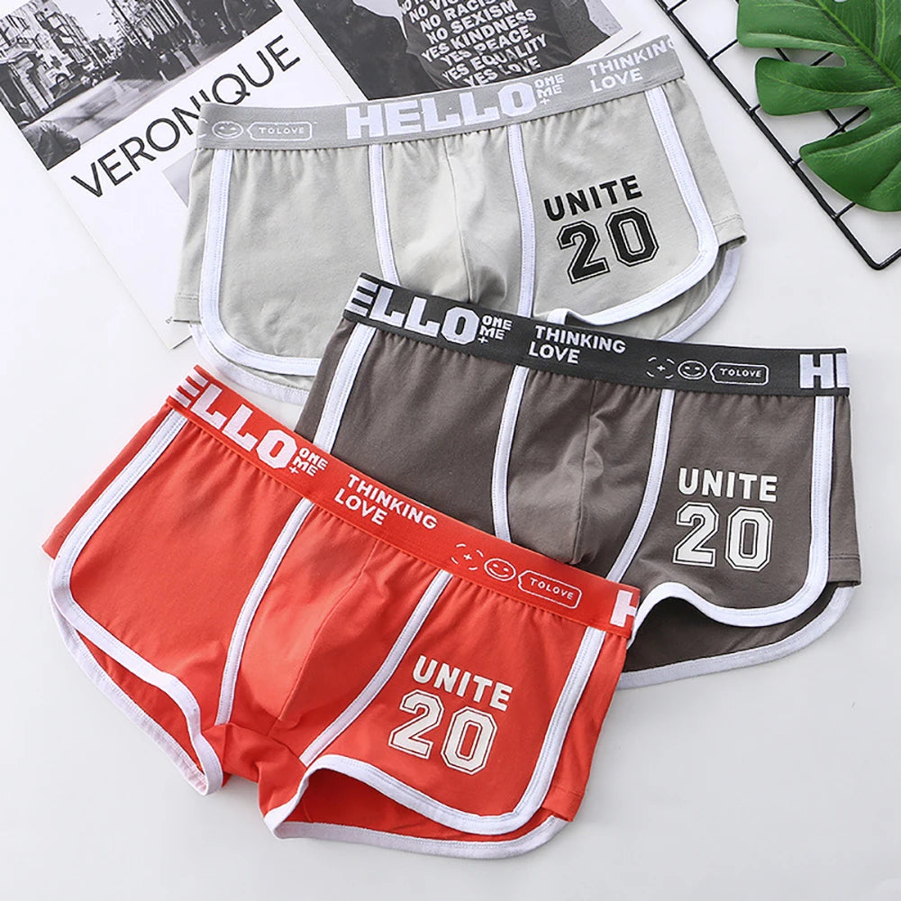 3PCS/Pack 100% Cotton Underpants Men Comfortable Big U Type Crotch Breathable Mesh Men's Panties Fashion Letter Boxers Hombre