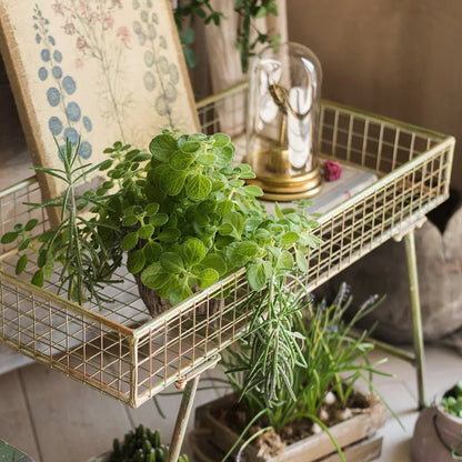Metal Plant Stand Shelf Indoor Outdoor Flower Pot Holder Rack Floor Display Stand for Living Room Balcony Garden Decor