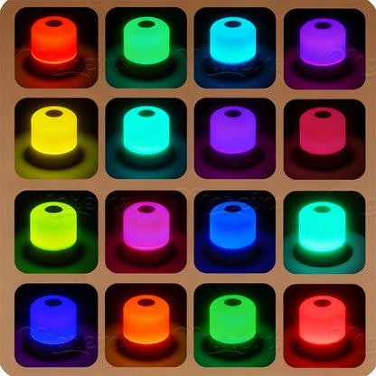 Rechargeable RGB 13 Color Changing Night Light Remote Control Touch USB Night Lamp Dimmable Lamp Portable Table Bedside Lamp
