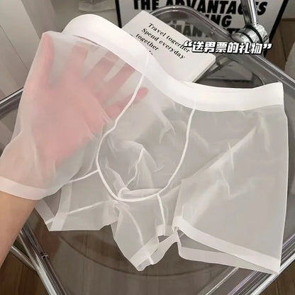 N2025 Ultra Thin Ice Silk Boxers Underwear Men Semi-transparent Seamless Sexy Male Trunk Shorts Plus Size M-XXL