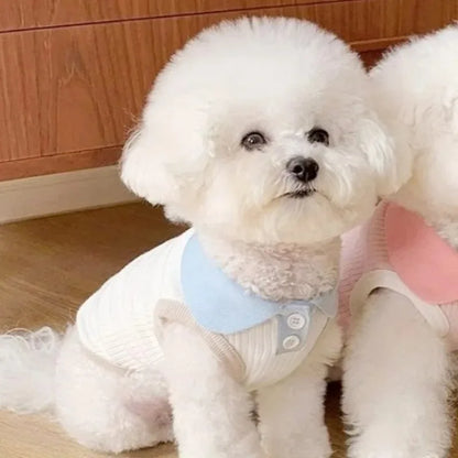 Small Dog Shirt | Spring & Summer Pet Apparel | Casual Wear for Small Dogs