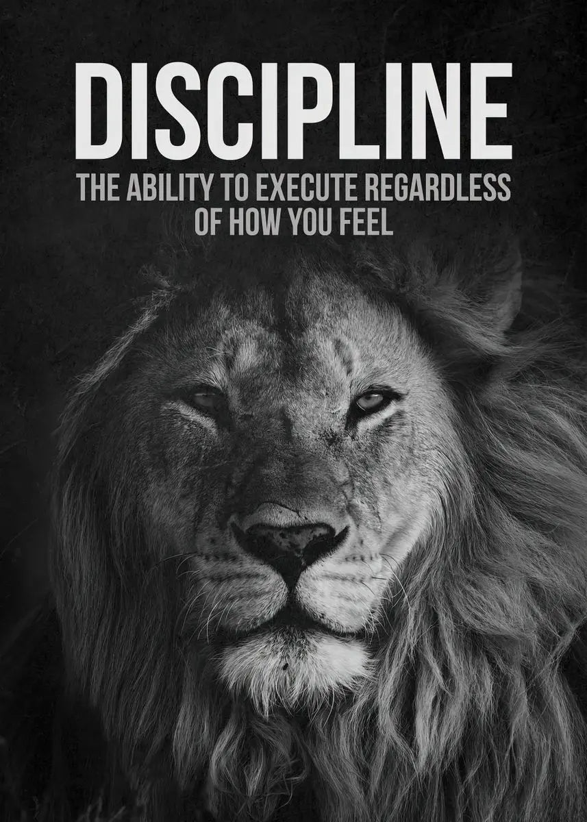 Motivational Quotes Success Poster Lion Mindset Is Everything Canvas Painting Print Art  Room Office Home Wall Picture Decor