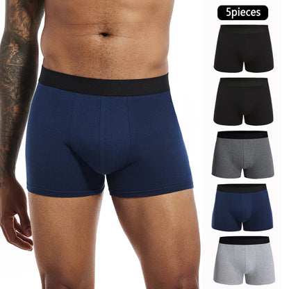5pcs Pack Cotton Boxer Briefs Men shorts Panties Underwear For Man Brand And Underpants Homme Luxury BoxerShorts Box Slip Box