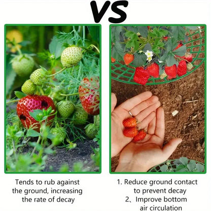 5/10/20pcs Strawberry Plant Supports with Three Sturdy Legs Provide Protection for Strawberries Against Mold, Rot, and Dirt