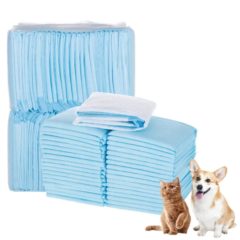 Cushion | Quick-Dry Training Home & Living | Home Decor