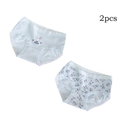 Teenage Triangle Panties Kids Solid White Underwear Pants Pure Cotton Breathable Underpants Child Girls Briefs For 7-16 Years