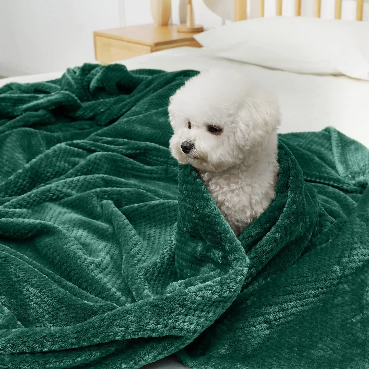 Throw Blanket Throw Size Fuzzy Throw Blanket for Couch Sofa Soft Warm Cozy Furry Decorative Thick Blankets Throws for Bed Couch