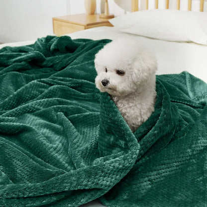 Throw Blanket Throw Size Fuzzy Throw Blanket for Couch Sofa Soft Warm Cozy Furry Decorative Thick Blankets Throws for Bed Couch